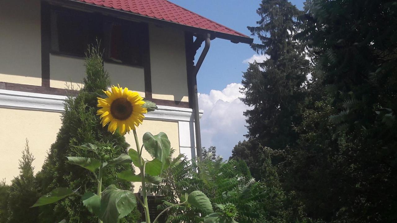 Penzion Pod Orechom Turčianske Teplice 外观 照片