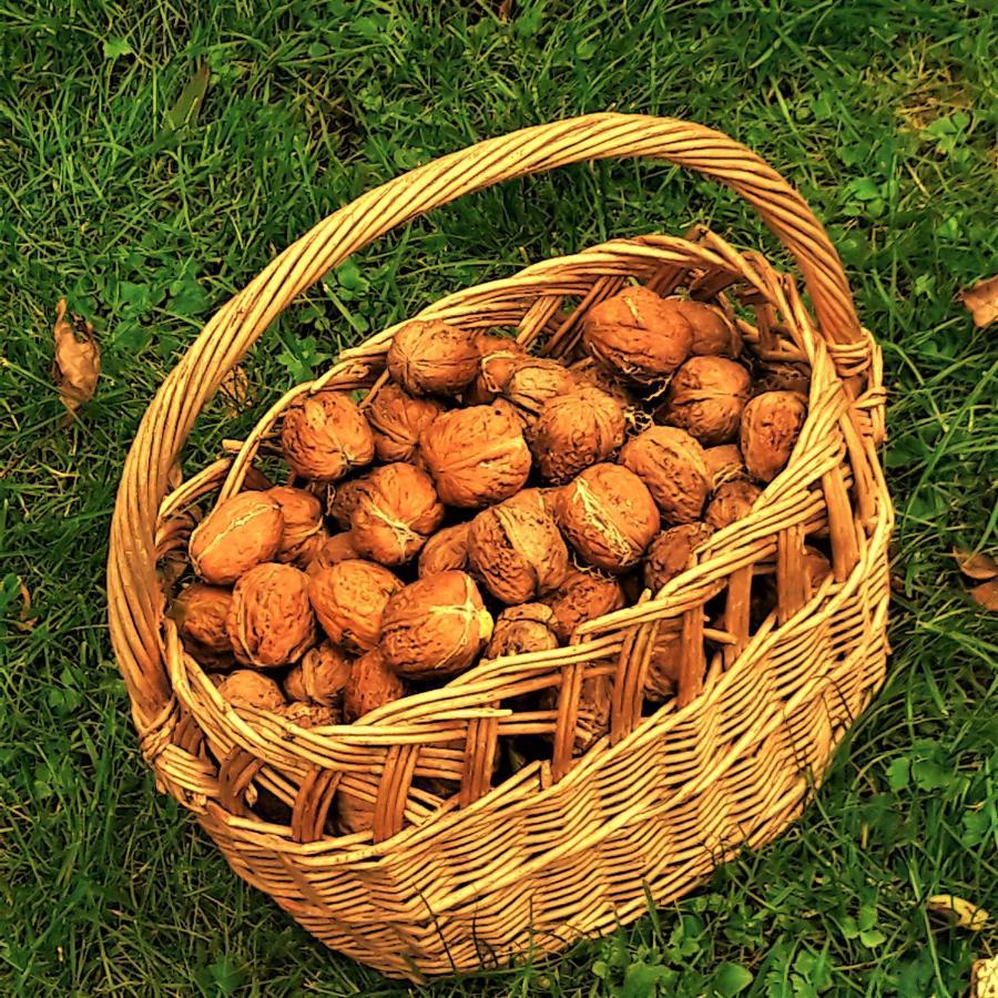 Penzion Pod Orechom Turčianske Teplice 外观 照片