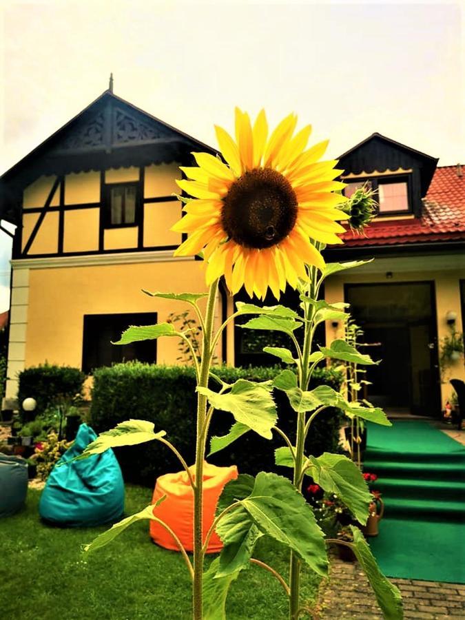 Penzion Pod Orechom Turčianske Teplice 外观 照片
