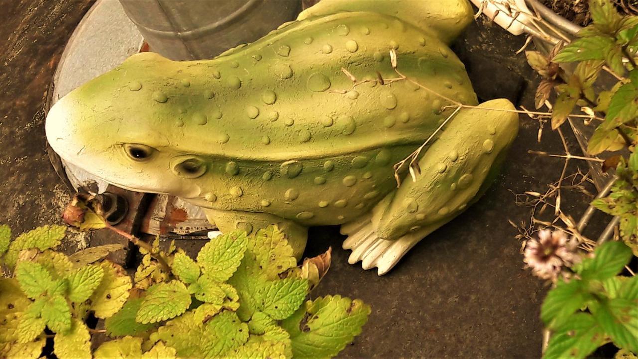 Penzion Pod Orechom Turčianske Teplice 外观 照片